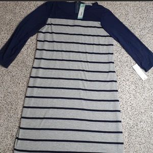 Loveappella Aryanna Blue Stripe Knit Dress